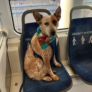 Meet your Posher, Andy